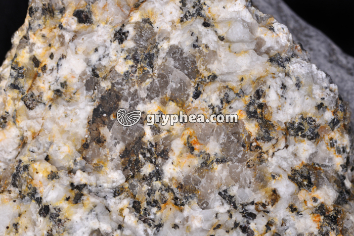 Granite altéré macro x0,5 - gryphea.org